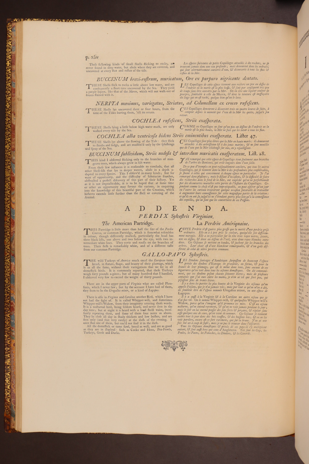 Page xliv